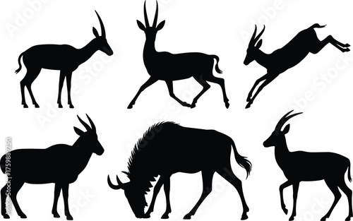 Antelope silhouette collection, black wildlife vector icons in motion, grazing and leaping animal poses, isolated nature illustration design set