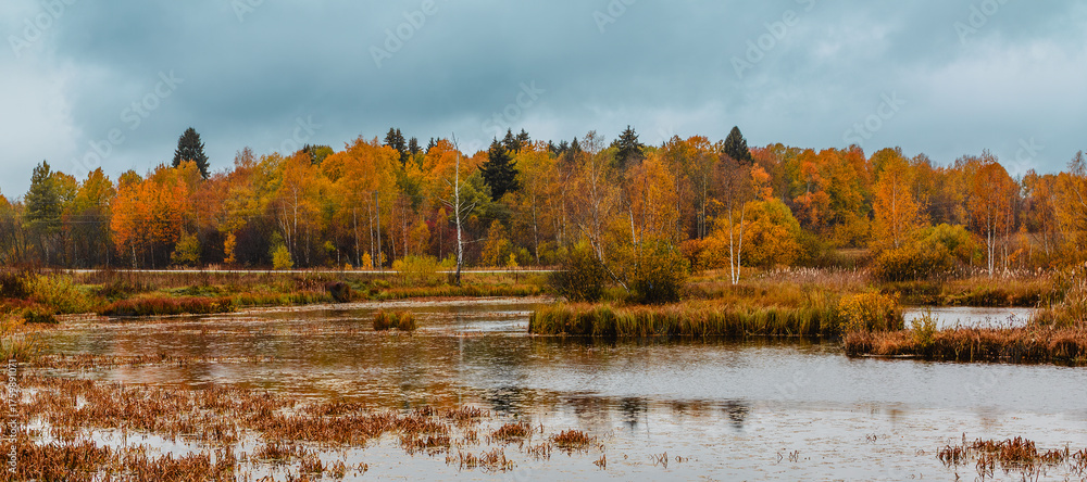 Obraz premium Autumn landscape with colorful trees reflecting in calm water near a serene lake
