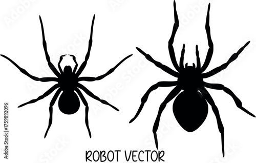 spider silhouette vector, halloween spider black symbol