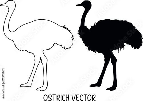 ostrich black silhouette vector, ostrich line art vector, ostrich black symbol