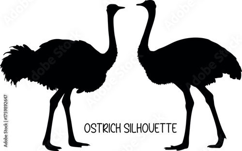ostrich black silhouette vector, ostrich line art vector, ostrich black symbol