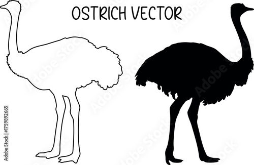 ostrich black silhouette vector, ostrich line art vector, ostrich black symbol