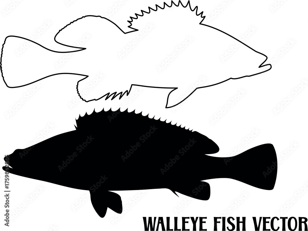 Obraz premium walleye fish silhouette vector, fish black symbol, fish icon