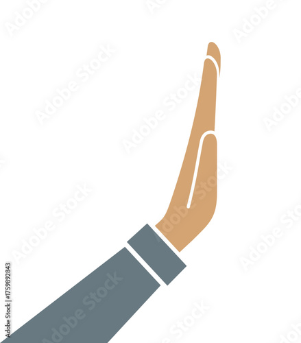 The 
