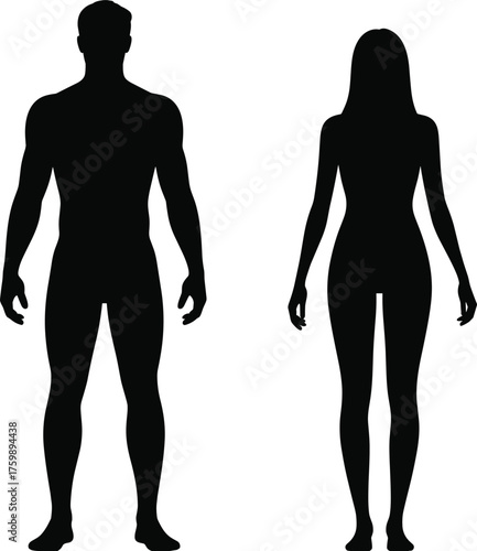 Male and female silhouettes, black figures, standing pose, body shape contrast, white background, anatomy concept, gender difference, minimal design, fashion reference