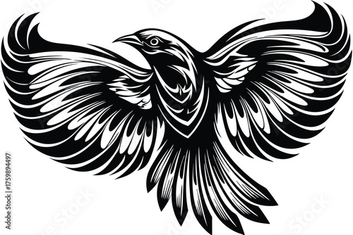 Striking black bird soars with its wings spread wide against a white backdrop
