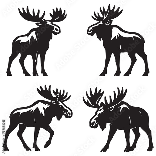 Single vector illustration of moose semi realistic art style