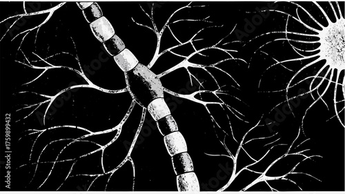 Dynamic neuron network illustration showcases brain cell communication and neuroscience research effectively