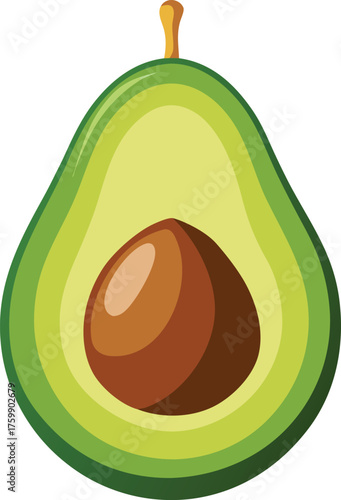 Vector art of a single avocado cut in half, revealing its creamy green flesh and large brown seed, isolated on a
