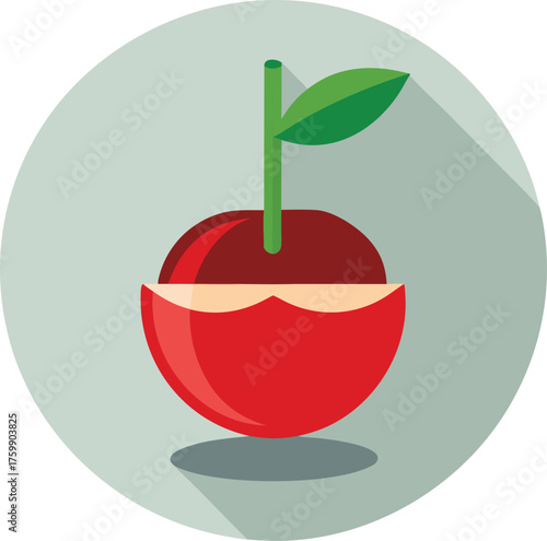 Vector art of a stylized red apple with a green stem and leaf, set against a light gray circular background with a long shadow
