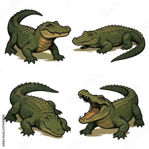 Crocodile vector illustration of a angry alligator marine or river predatory