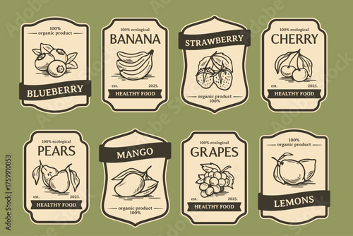 Vintage Fruit Label Set. Sketch style emblems with organic farm products, banana, strawberry, and mango. Vintage packaging designs. Hand drawn vector illustration collection isolated on background