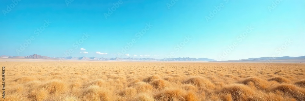 Fototapeta premium Vast, flat expanse of land stretching to the horizon under a clear blue sky Perfect for concepts of freedom, travel, and serenity Ideal for backgrounds or textures , desert, untouched, drone shot