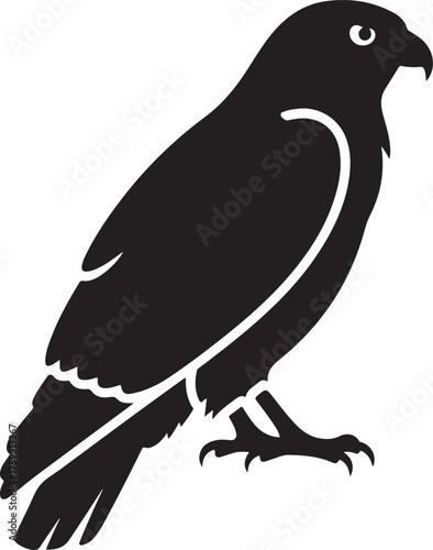 Black silhouette of a perched bird of prey raptor hawk