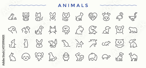 Animals icon set. Collection for mobile and web apps. Art and illustration. Dog linear icon set. Featuring pet, animal, dog, puppy, dog and more.