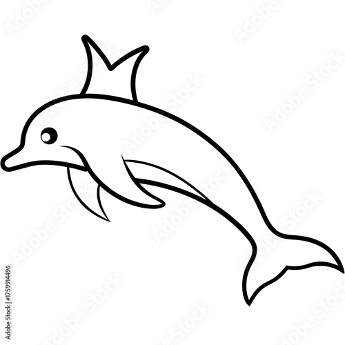 dolphin isolated on white background