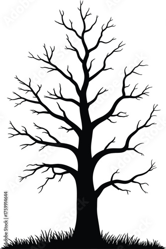 Black silhouette of a charred tree with transparent background, ideal for photo manipulations or graphic design projects requiring a stark and dramatic element 