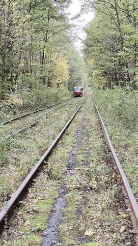 Vintage tram rides along railway through colourful fall forest.