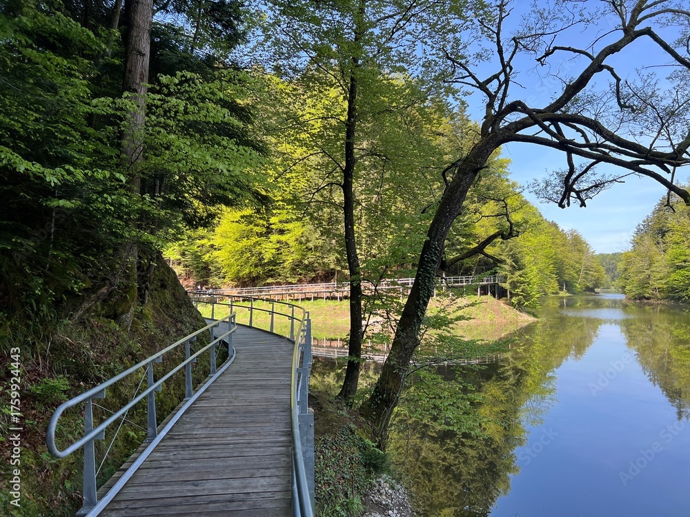 Fototapeta premium The educational pathway around the Lake Trakoscan 'Faerie Path' (Croatia) - Poučna staza 'Put Vila' ili staze za šetnju i rekreaciju oko Trakošćanskog jezera (Hrvatsko Zagorje, Hrvatska)