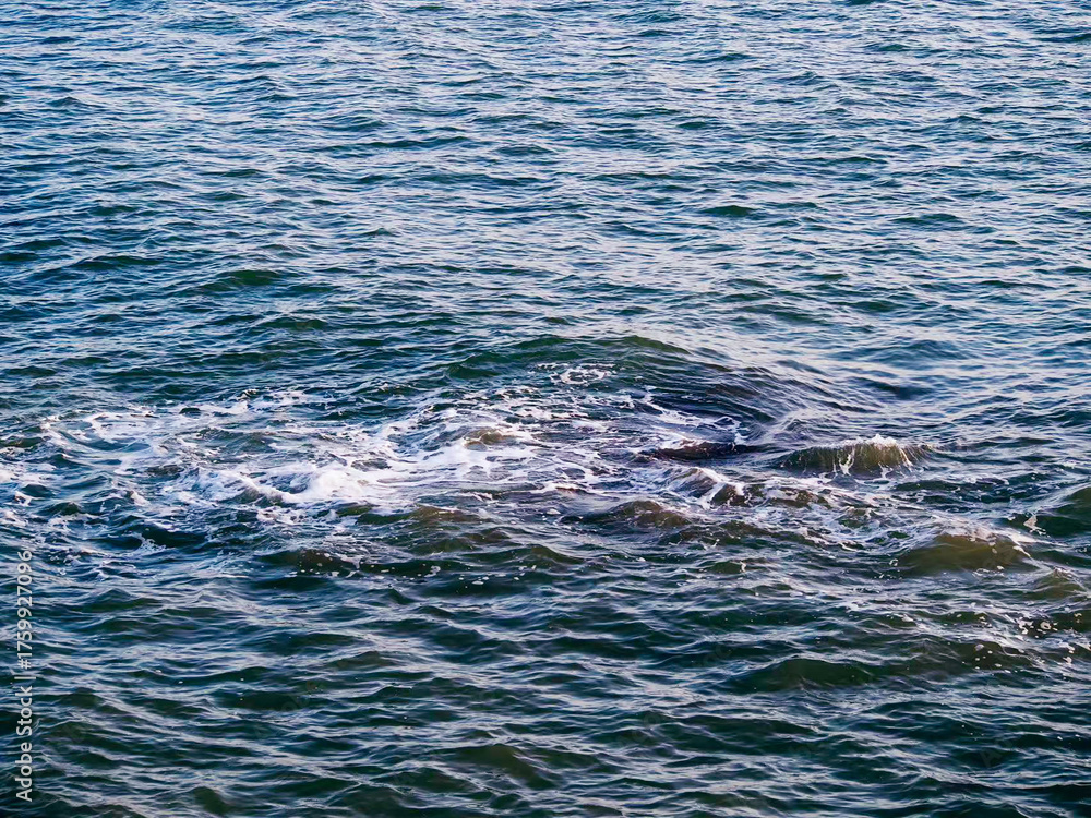 Obraz premium blue water surface