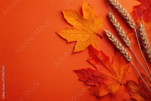 Autumn leaves and wheat ears on orange background