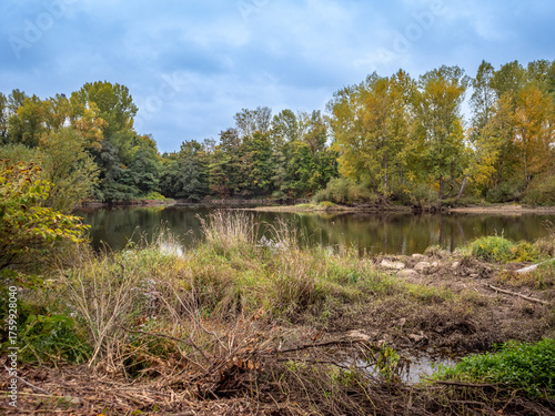 Rive des bords de Loire, fleuve de France, dans le département de la Loire