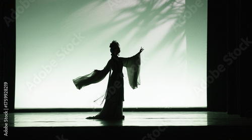 Silhouette of Chinese opera characters, standing in the center of the stage