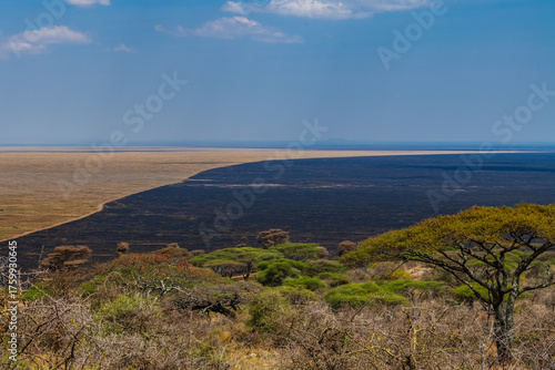 Landscape at the Serengeti national park, Tanzania. Wildlife photo