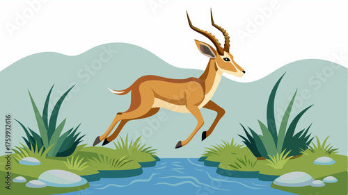 A graceful antelope leaps effortlessly over a small stream its slender body blending in with the tall grass.