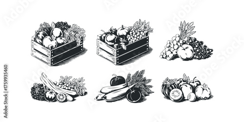 Harvest Bounty Collection with Wooden Crates and Fresh Produce