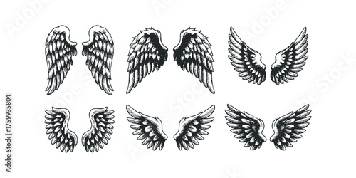 Six distinct hand drawn angel wing pairs with varied feather details