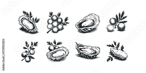 Black and white sketch of oysters and sprigs