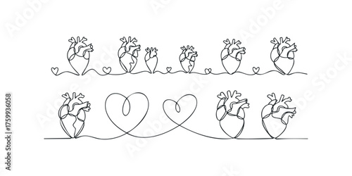 Line art anatomical hearts connected by heart shapes