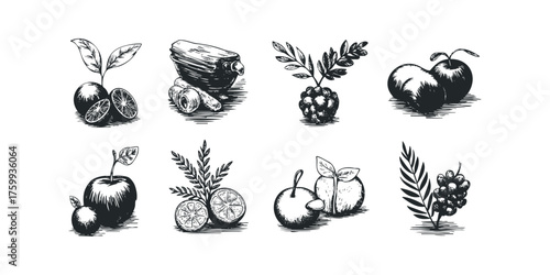 Collection of Hand Drawn Fruit and Vegetable Illustrations