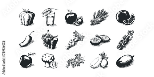 Hand Drawn Fresh Produce Collection
