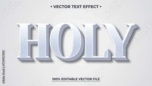 3D HOLY Text Effect with Shadow on White Background Vector Design