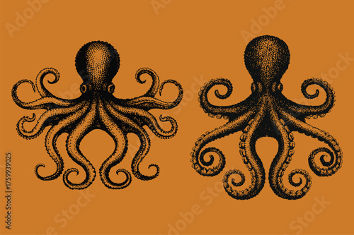 Retro Octopus abstract grunge vector. giant octopus with eight tentacles writhing around its body in two different sizes. Vector illustration. Eps 10