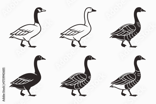 Minimalist goose outline icon set in black yellow cyan magenta