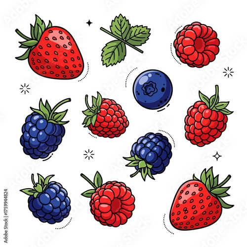 Fresh Berries Collection - Strawberries, Raspberries, Blueberries, and Blackberries.