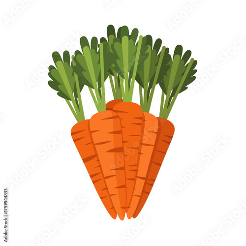 Fresh carrots with green leaves, healthy and nutritious vegetables.
