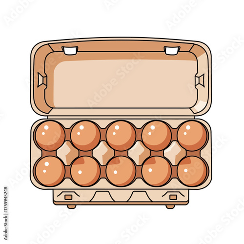 Open egg carton with ten fresh brown eggs ready for cooking.