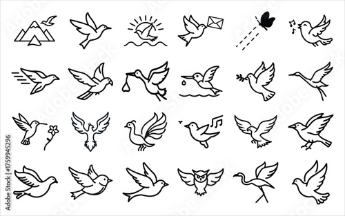 Collection of hand drawn line art bird illustrations in various poses and styles