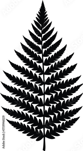 Tropical fern frond silhouette. Isolated nature element vector graphic.