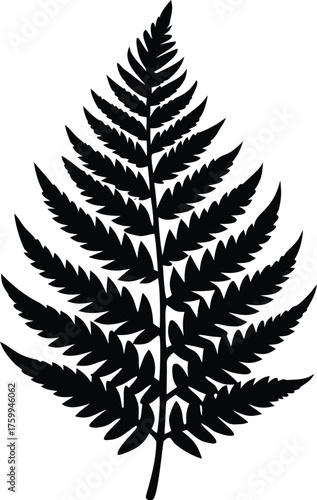 Tropical fern frond silhouette. Isolated nature element vector graphic.