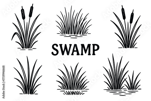 Black and white swamp grass illustrations with cattails and reeds