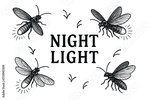 Illustrated fireflies surrounding text 'night light' in vintage style