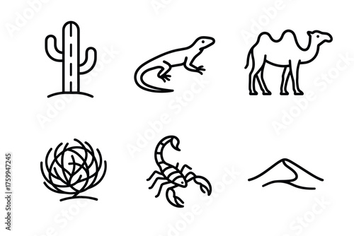 Desert icons: cactus, lizard, camel, scorpion, sand dune, plant line art collection