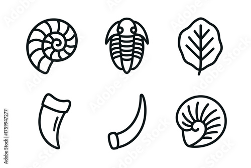 Black line fossil and nature icons: shells, trilobite, leaf, horn, tooth