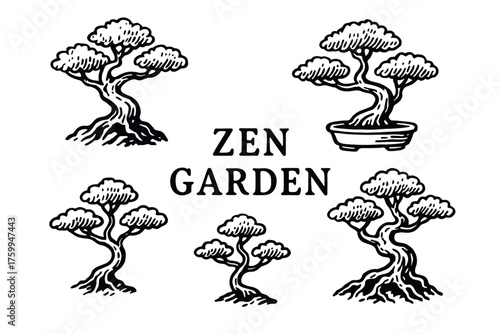 Zen garden illustrations: bonsai trees in black and white