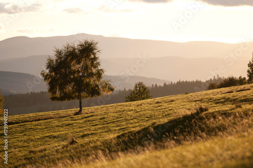Warm sky tones and golden leaves create a peaceful and atmospheric scene. The image captures the beauty of nature and the magic of autumn in the mountains.